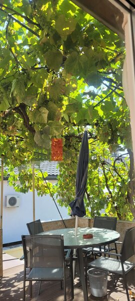 1 Mai Apartament cu 2 camere de inchiriat in zona Mihalache/ Chibrit/ Ciuperca